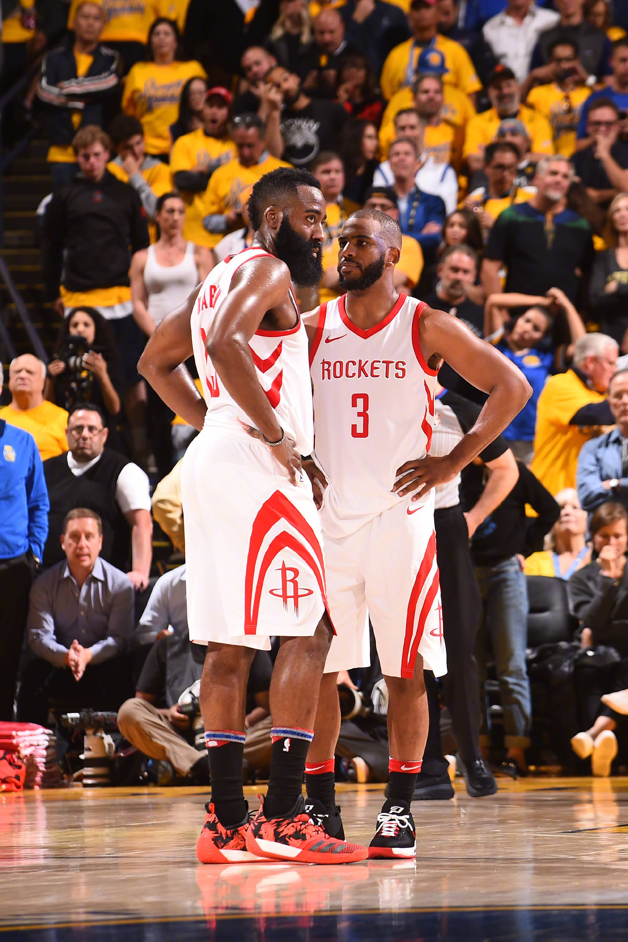 鹿初步交流 鹿初步交流