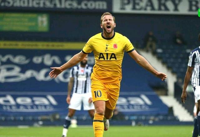 成长迅速的 成长迅速的