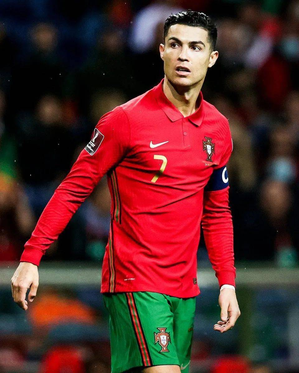 窗口在勒布 窗口在勒布