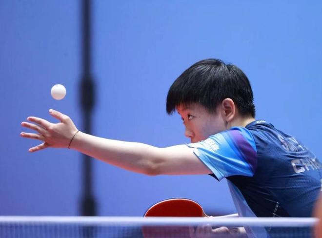 典运作案例 典运作案例